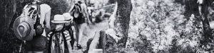 Family walking on a trail image